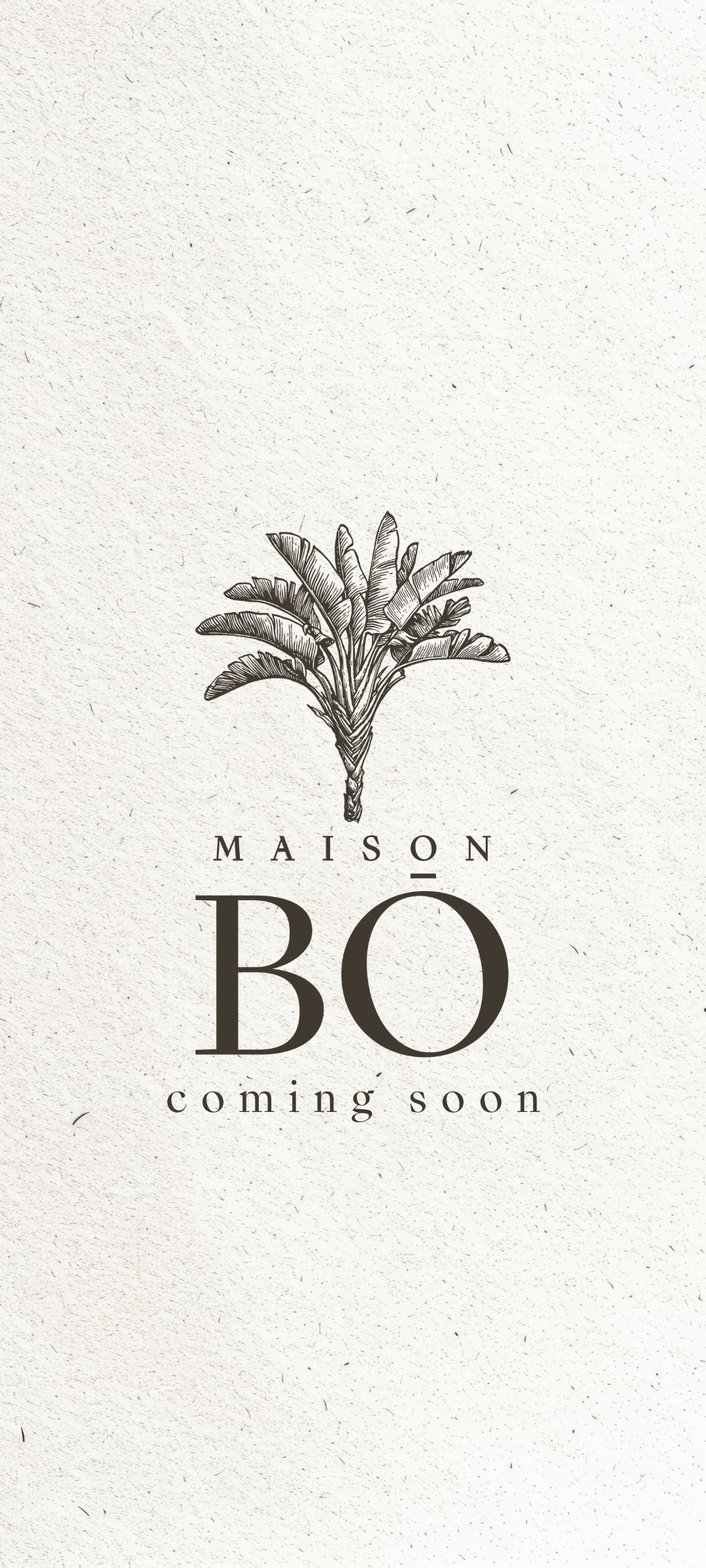 Maison Bo — Bientôt disponible